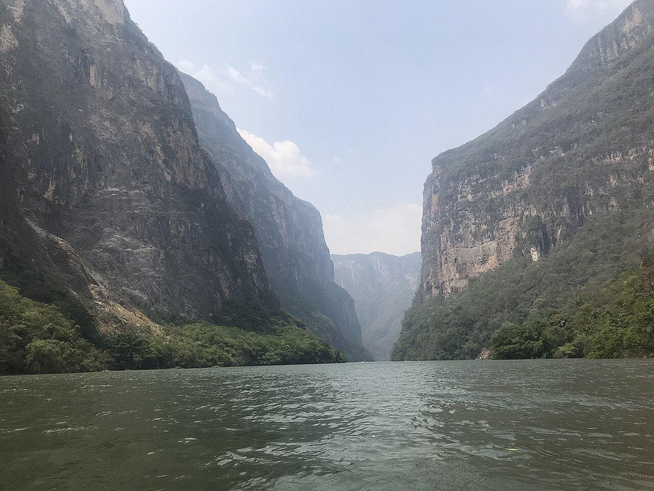 Boat-level view of the steep, forested walls of Sumidero Canyon in Chiapas rising from green river water